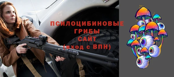 соль ск Вязники