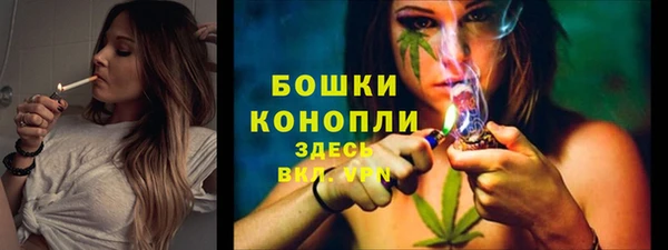 прущие крисы Вязьма