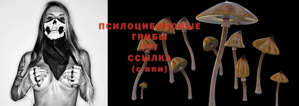 соль ск Вязники