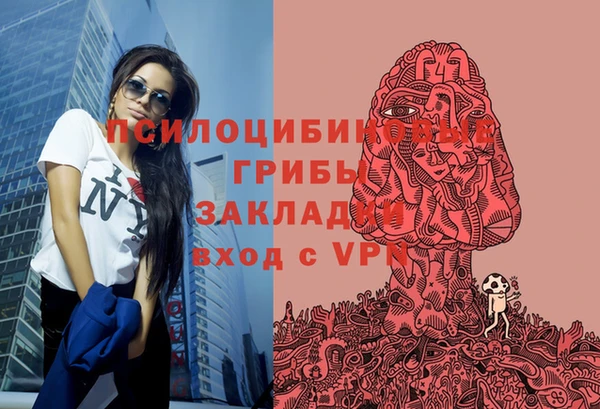 прущие крисы Вязьма