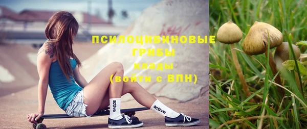 соль ск Вязники