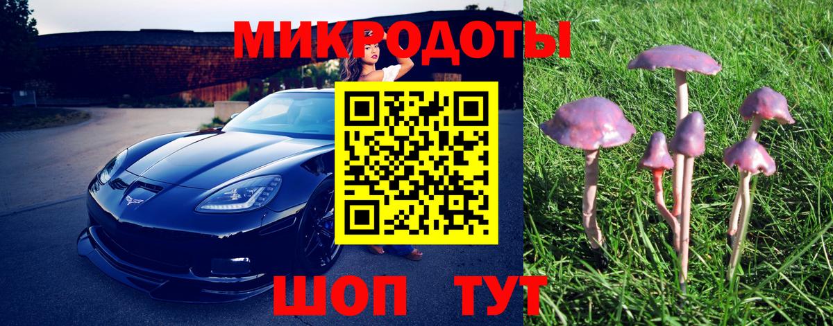 Галлюциногенные грибы GOLDEN TEACHER Мценск